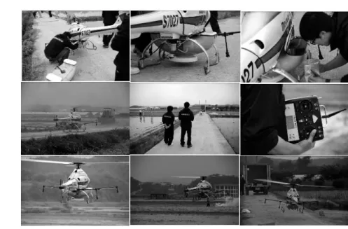 Fig.  2.  Treatment  scenes  of  remote-controlled  aerial  application.