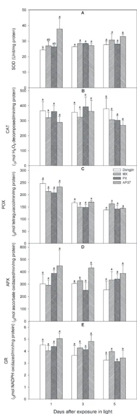 Fig.  1.  Comparative  analysis  of  superoxide  dismutase  (SOD),  catalase  (CAT),  peroxidase  (POX),  ascorbate  peroxidase  (APX),  and  glutathione  reductase  (GR)  activities,  expressed  on  a  mg  protein  basis  in  leaves  of  M