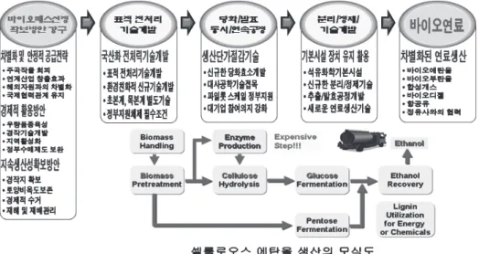 Fig.  6.  Biofuel  production  supported  by  national  policy.
