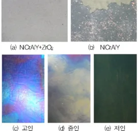 Fig.  6.  State  of  coating  layer  after  110  times  thermal  shock  test