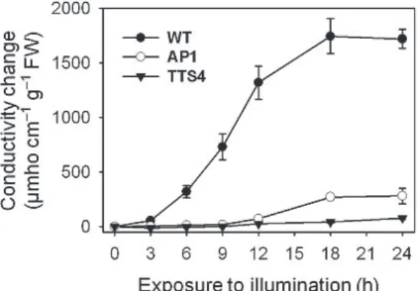 Fig.  2.  Effect  of  foliar  application  of  oxyfluorfen  on  MDA  production  from  leaf  tissues  of  rice  plants