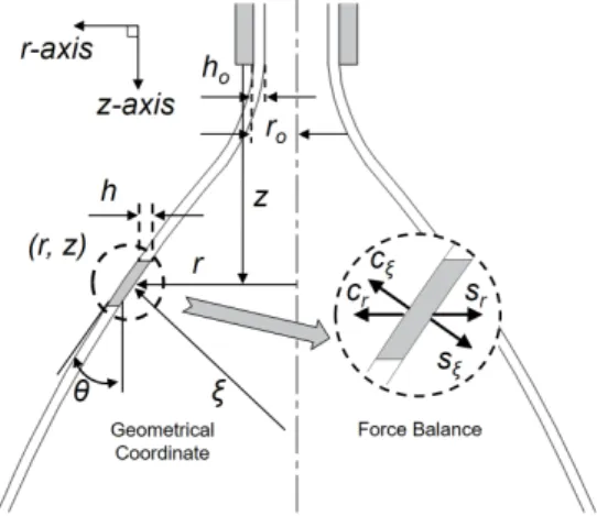 Fig.  7  Schematic  diagram  of  forces  acting  on  the  swirling  liquid  sheet[23].