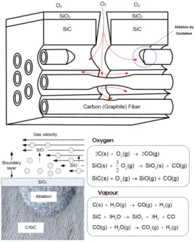 Fig.  8  Microstructure  of  C/SiC  composite.