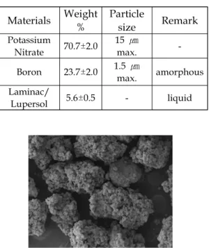 Fig.  1  SEM  image  of  BKNO 3   used  in  this  study.