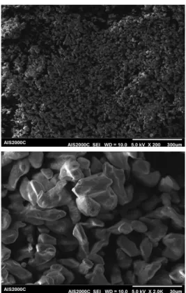 Fig.  4  SEM  image  of  HNF(Inverse  drowning-out).