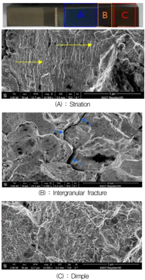 Fig.  6  SEM  images  of  fracture  surfaces  at  R,  T.