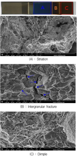 Fig.  8  SEM  images  of  fracture  surfaces  at  700℃.