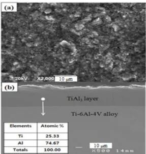 Fig.  6 SEM  of  (a)surface  and  (b)cross  sectioned  Ti  alloy  coated  at  600℃ for  6  hr