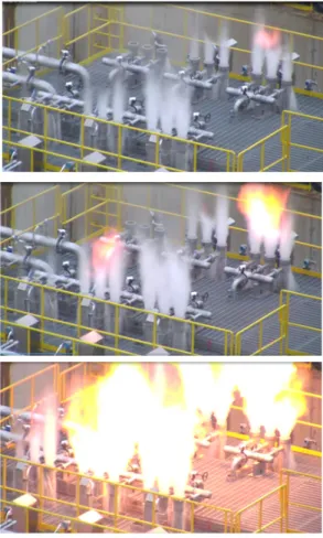 Fig.  10  After-burner  flame. 