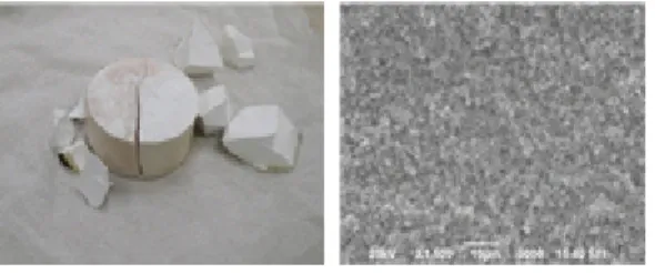 Fig.  6  Appearance(left)  and  microstructure(right)  of  T100  ingot. 료들에  비해  상대적으로  기공이  적은  치밀한  구 조임이  관찰되었다