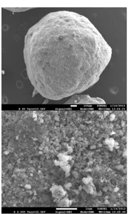 Table  2.  Labeling  Boron-bead  samples. Fig.  5  Shape  of  Boron-bead  (up)  and  surface  particle  distribution  (down).