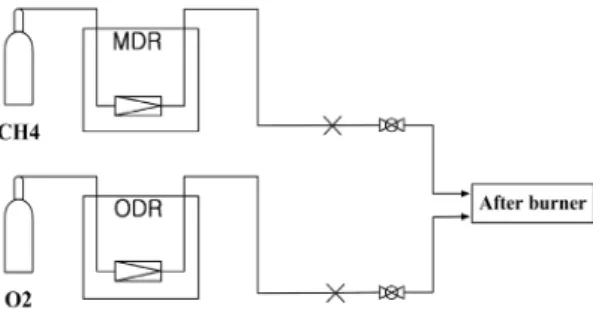 Fig.  1  Schematic  diagram  of  gas  supply  system.