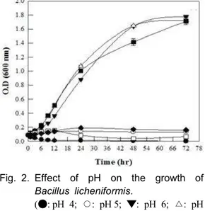 Fig. 3. Cellular  morphology  of  Bacillus  licheniformis  grown  in  NA  plate  culture  at  30℃ 