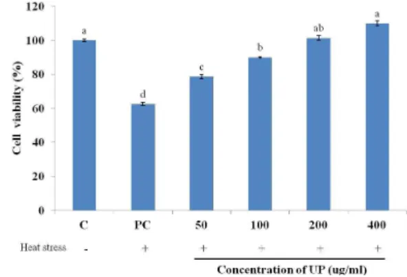 Fig. 1. The  effect  of  UP  treatment  on  the  cell  viability  of  heat  stressed  cells  incubated  for  24  hours