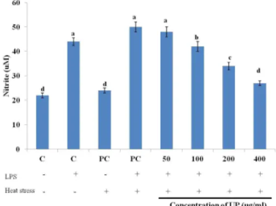 Fig. 2. The  effect  of  UP  on  NO  production  in  LPS-induced  RAW264.7  macrophages  incubated  for  24  hours