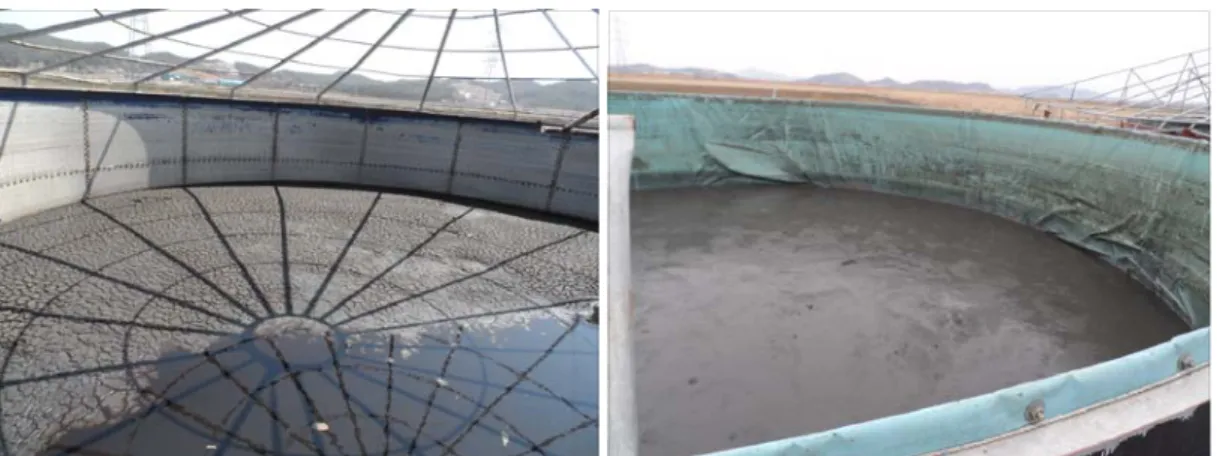 Table 3. VS/TS ratio of a deep sediment and a pig manure slurry.