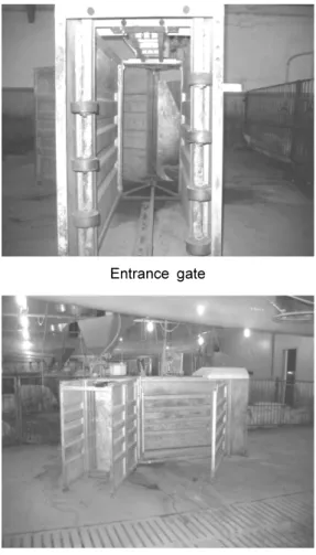 Fig. 2. Photograph of the ESF (electronic  sow feeder for gestation sows).