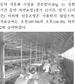 Fig. 1. Photograph of the aviary system.