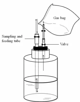 Fig. 1. A schematic diagram of experi-  mental one‐phase digester.