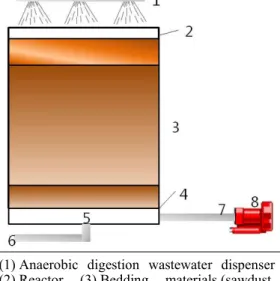 Fig.  2.  Compost  filtration  layer  after  1  year.