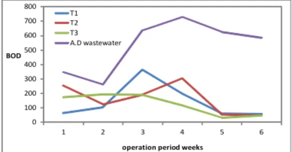 Fig. 5. Variations  of  BOD  during  operational period.유는  유기물  중에  포함되어  있던  질소  함유물질의  분해로  인해  존재하던  NH4+  농도가 여과  작용에  의해  낮아진데  기인한  것으로 판단된다