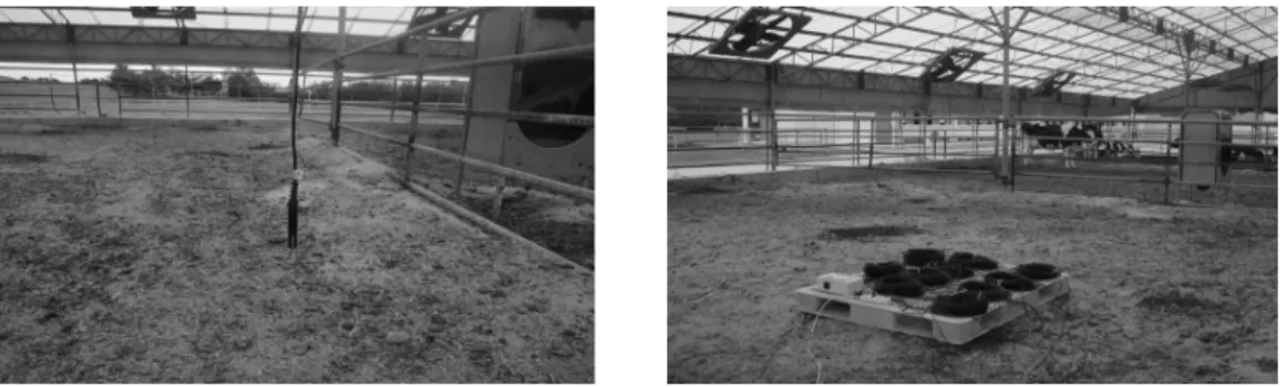 Fig. 1. The point of temperature measurement in the dairy cow shed.