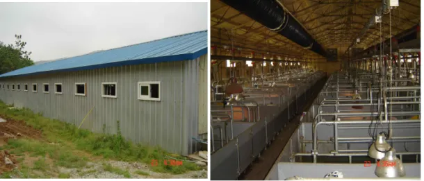 Fig.  1.  External  and  internal  structure  of  experimental  pig  housing.