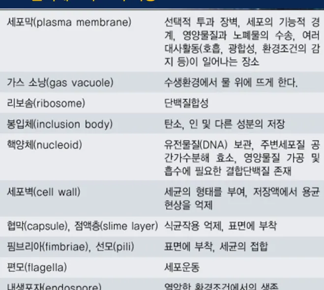표 .  원핵세포 구조의 기능