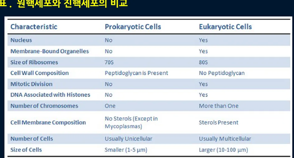 표 .  원핵세포와 진핵세포의 비교