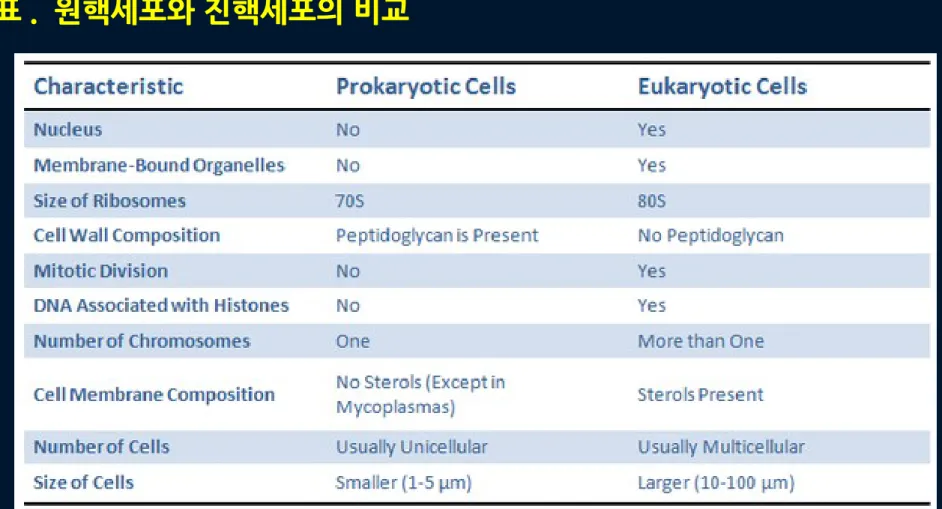 표 .  원핵세포와 진핵세포의 비교