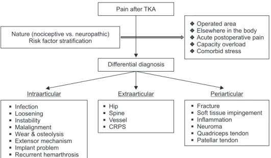 Fig. 1. Flow chart of pain evaluation. TKA: 