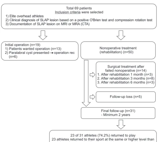 Fig. 1. Flow diagram showing disposition of  patients in the study. 