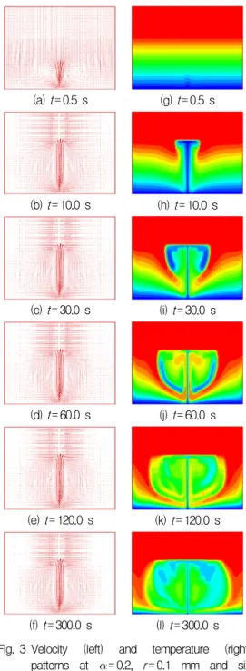 Fig.  2 Stratified  temperature  pattern  at  t= 0.0  s  in  the  cavity (a)  t= 0.5  s (g)  t= 0.5  s(b)  t= 10.0  s (h)  t= 10.0  s(c)  t= 30.0  s(i)  t= 30.0  s(d)  t= 60.0  s (j)  t= 60.0  s(e)  t= 120.0  s  (k)  t= 120.0  s(f)  t= 300.0  s(l)  t= 300.