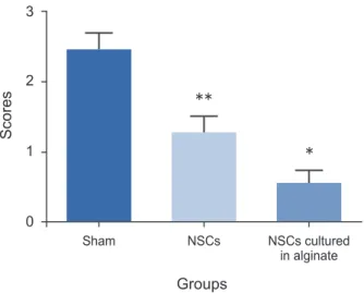 Fig. 6. Histology study. NSCs, neural stem cells. * and ** mean each  group has significant difference in comparison with the other groups  (p-value < 0.05).