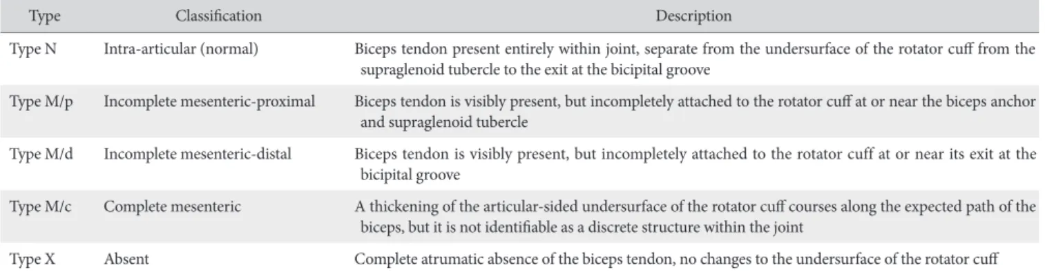Table 1. Wahl and MacGillivray’s classification system of variants of intra-articular anatomy of the long head of the biceps tendon 4)