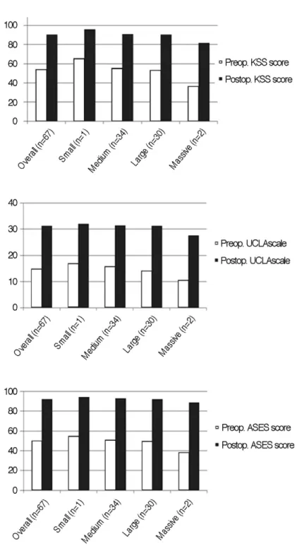 Table 2. Repair Integrity at Postoperative 6 Months