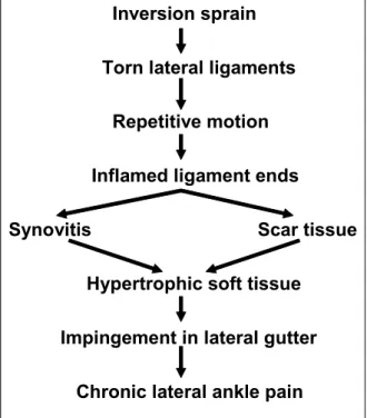 Figure 1. Sequence of lateral ankle pain. 