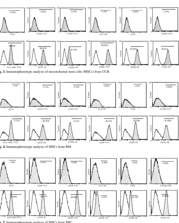 Fig. 4. Immunophenotype analysis of MSCs from BM.