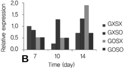 Fig. 9. Gene expressions were seen individual osteogenic markers. (A) Collagen type I was increased by intermittent  hydrostat-ic pressure than osteogenhydrostat-ic media