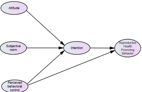 Figure 1. Conceptual framework based on a structural model of Ajzen.