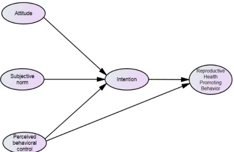 Figure 1. Conceptual framework based on a structural model of Ajzen.