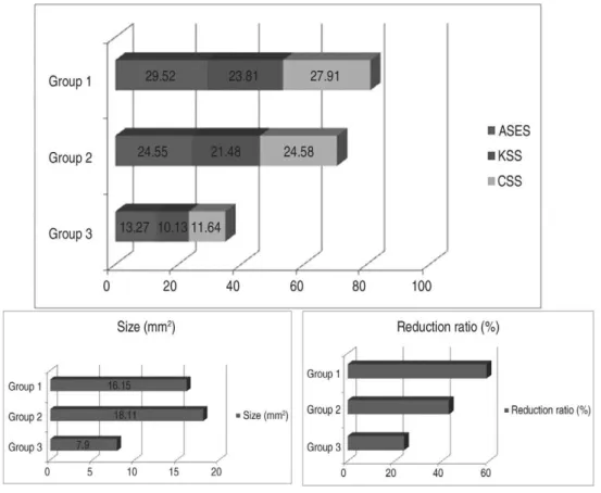 Fig. 3. Changes in patients with functional score and resorption of calcific deposits, at 12 weeks after treatment (p<0.01)