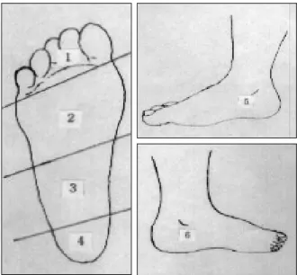 Table 1. Diabetic Foot Classification According to Wagner