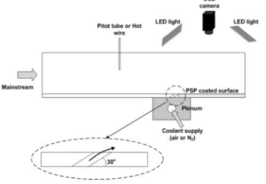 Fig.  2  Schematic  of  a  luminescent  PSP     Fig.  1  Schematic  of  test  section  (not  to  scale)다
