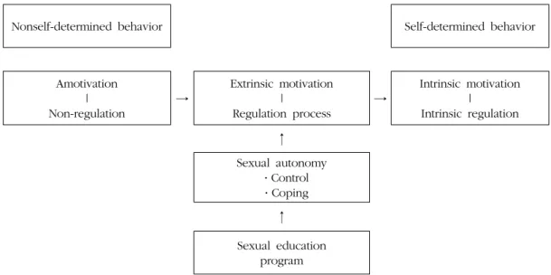 Figure 2. Conceptual framework of sexual education program.