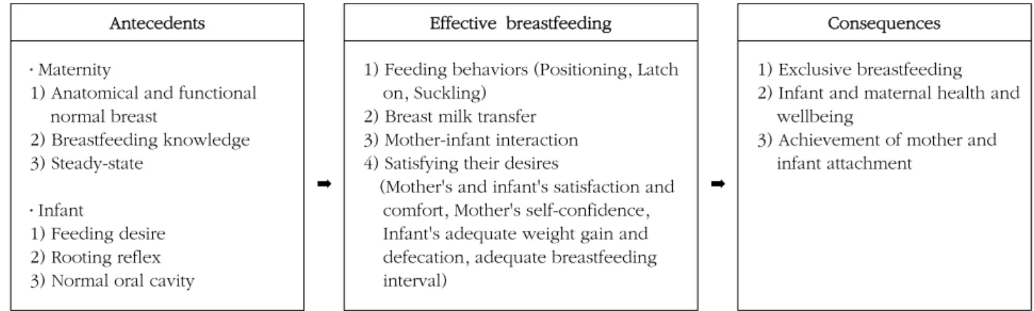 Figure 1. Identity antecedents and consequences of effective breastfeeding.