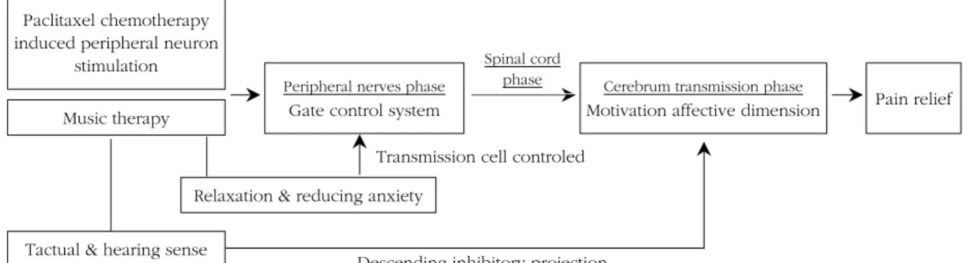 Figure 1. Conceptual framework.