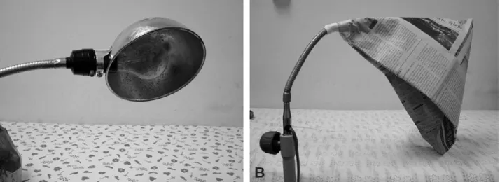 Fig. 1. Existing heat lamp (A) General light stands having 60 watt light bulb of incandescence and lampshade made of aluminum.