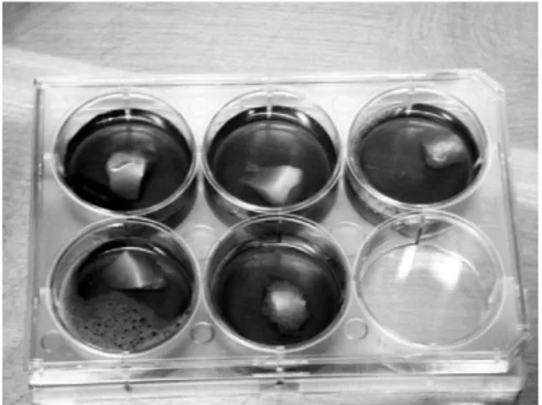 Fig. 4. Overall experiment picture.