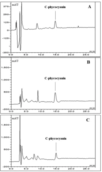 Fig. 1. High-performance liquid chromatography-DAD analy- analy-sis (λ = 580 nm) of phycocyanin (A), Spirulina maxima ethanol extract (B) and S